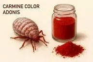 تأیید رسمی سازمان غذا و دارو: رنگ طبیعی قرمز حشره‌ای بلامانع است