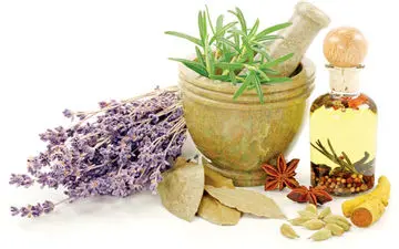 گیاهان نشاط‌‌آور، چه گیاهانی هستند؟