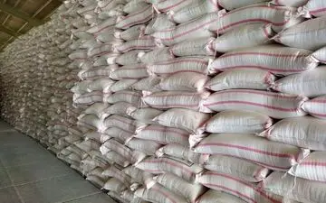 توزیع بیش از ۲۵ هزار تن کود بین کشاورزان