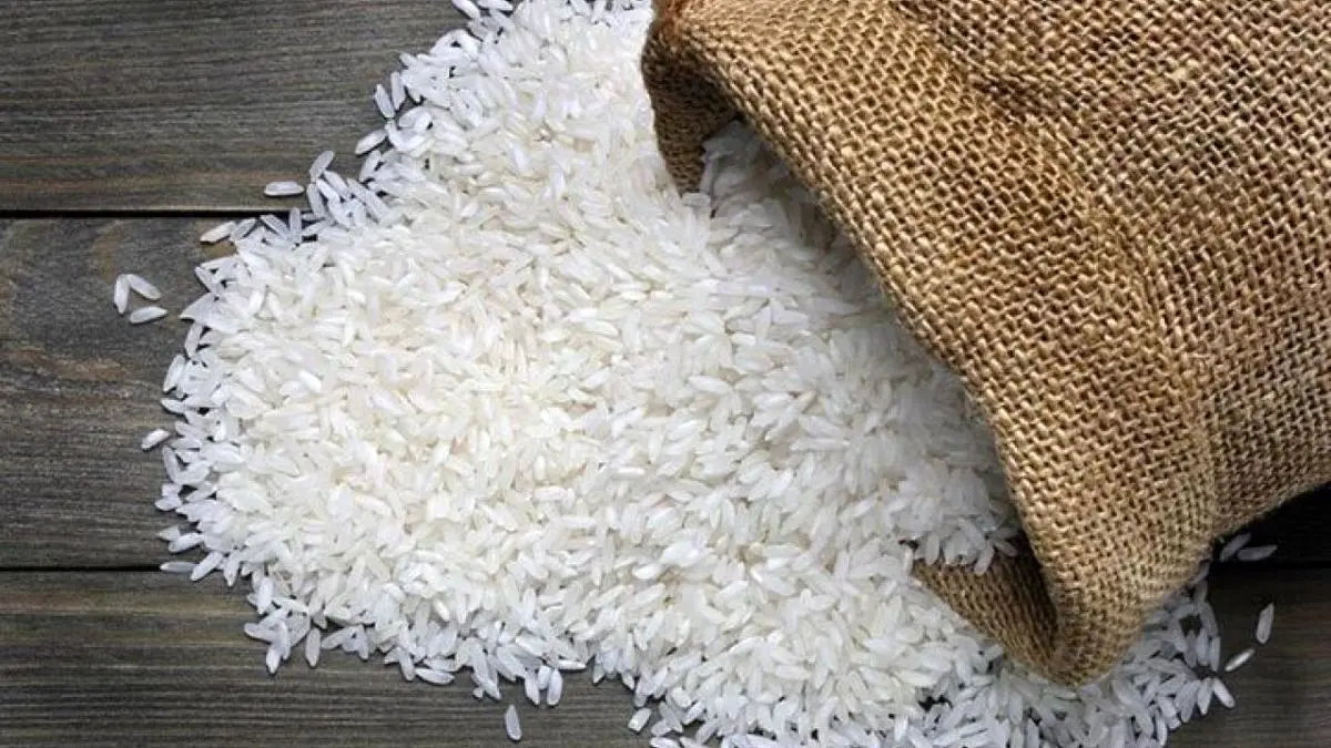 قیمت برنج ایرانی در بازار امروز + جدول قیمت