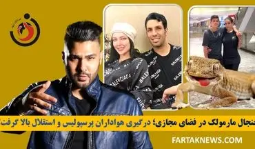جنجال مارمولک در فضای مجازی؛ درگیری هواداران پرسپولیس و استقلال بالا گرفت!
