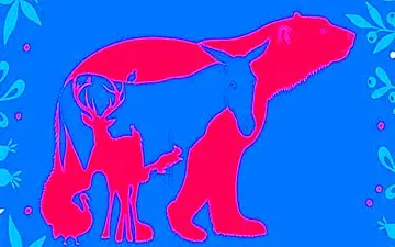 هوش خودت رو محک بزن/ در تصویر 8 حیوان را پیدا کن!