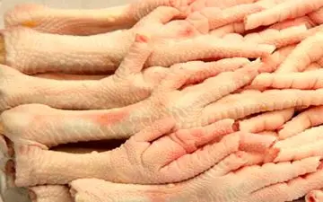 خواص اعجاب آور پای مرغ