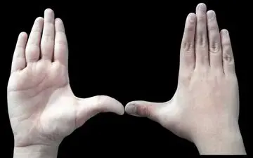 کشف تاثیر چپ‌دست یا راست دست بودن روی شیوه بیان!