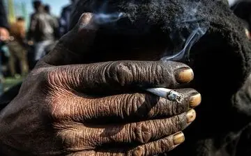 بیشترین مواد مصرفی در کشور کدام است؟