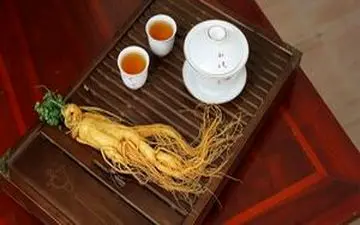 جینسینگ: گیاه معجزه گر یا داروی پرخطر؟
