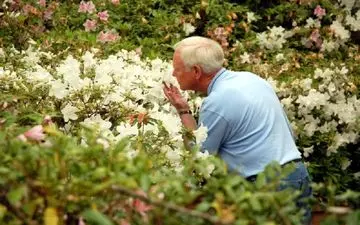 چرا با افزایش سن قدرت بویایی افراد کاهش می یابد؟