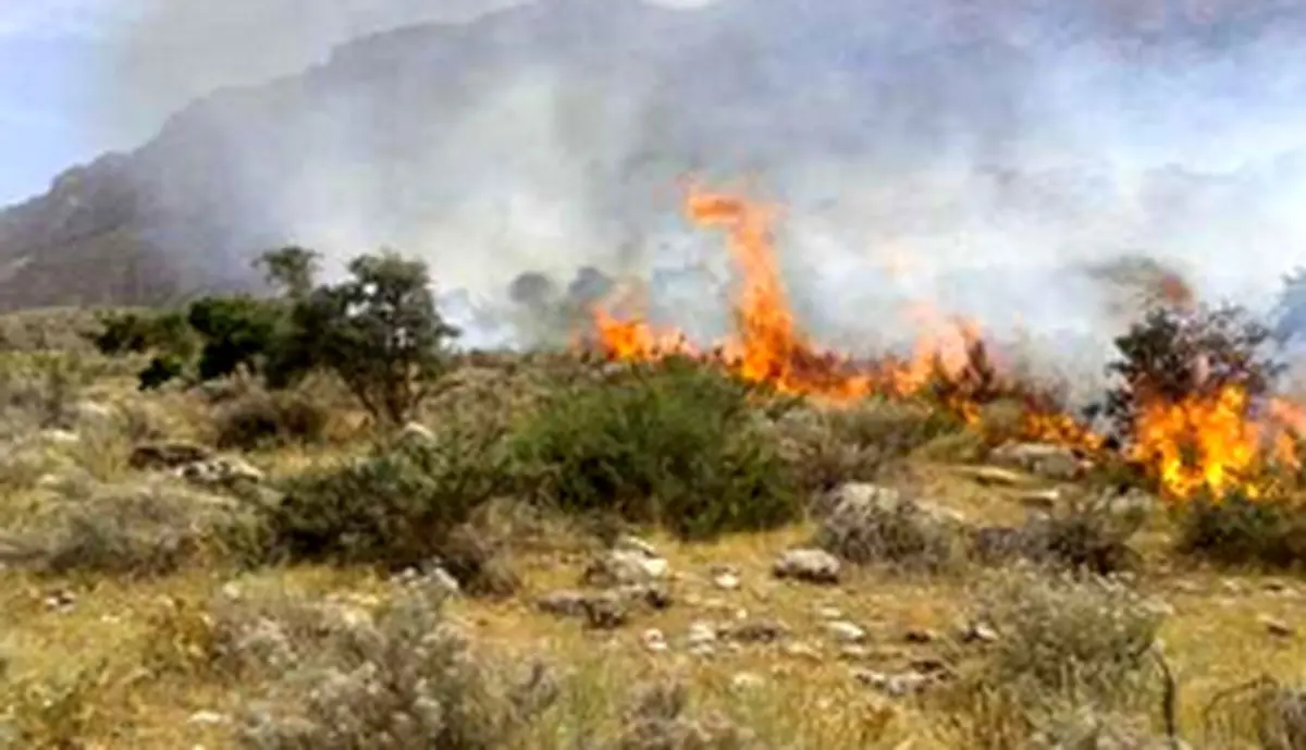 گردشگر سهل انگار سه هکتار از مراتع منطقه حفاظت شده دزفول را آتش زد