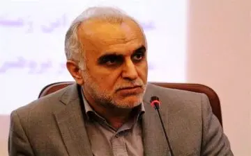 دژپسند: دولت بدنبال ثبات بازار ارز است