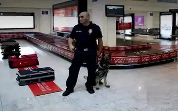 چرا گرجستان مسافران ایرانی را راه نمی‌دهد؟+فیلم