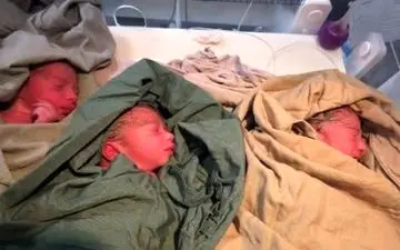 کشف جسد نوزاد چند روزه در منطقه جنگلی! +عکس