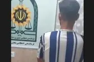 پلیس به ماجرای سگ‌آزاری در تالش واکنش نشان داد؛ متهم: پشیمانم و عذرخواهی می‌کنم
