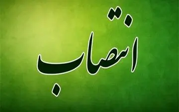 سمانه شاددل، معاون توسعه، مدیریت و منابع استانداری زنجان شد