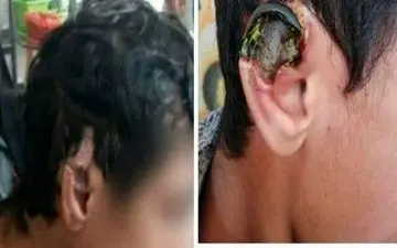 محرومیت مادام العمر برای مربی خاطی کشتی