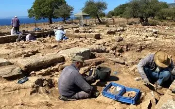 یک کوزه پر از سکه طلای ایرانی بعد از ۲۴ قرن پیدا شد! +عکس