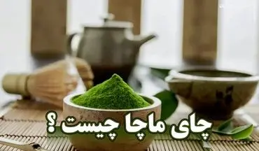 چای ماچا؛ راهی برای کاهش وزن /  یک نوشیدنی فوق‌العاده برای تناسب اندام