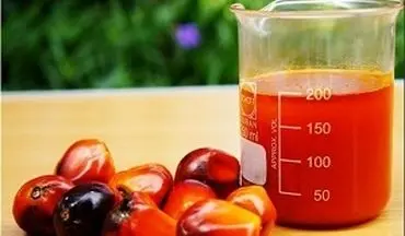 این خوراکی‌های خطرناک می‌تواند شما را بکشد