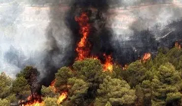  جنگل‌های گرگان دچار حریق شد+ جزئیات 