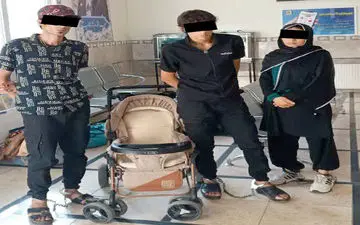  دستگیری باند دزدان کالسکه‌ای با شگردی جدید