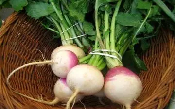  خواص باورنکردنی شلغم؛ از کاهش وزن تا درمان جوش صورت