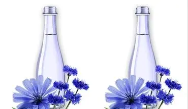 خواص عرق کاسنی برای اسپرم مردان + طریقه مصرف برای تقویت اسپرم