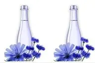 خواص عرق کاسنی برای اسپرم مردان + طریقه مصرف برای تقویت اسپرم