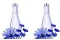 خواص عرق کاسنی برای اسپرم مردان + طریقه مصرف برای تقویت اسپرم