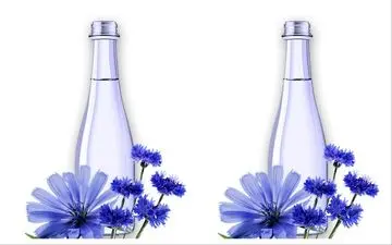 خواص عرق کاسنی برای اسپرم مردان + طریقه مصرف برای تقویت اسپرم