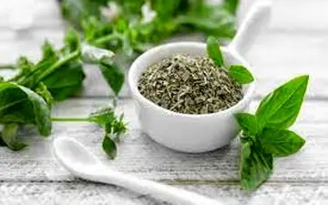 خواص نعناع خشک | خانم های خانه دار حتما بخوانند!