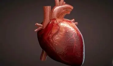 نشانه‌های بیماری قلبی| علائم بیماری قلبی را بدانید