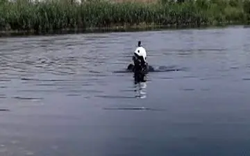 رودخانه فرات جان زائر ایرانی را گرفت