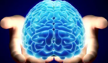  ۴ اقدام موثر برای تقویت عملکرد مغز