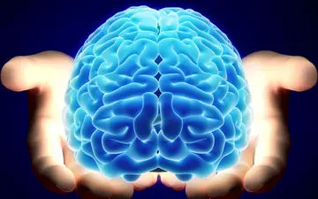  ۴ اقدام موثر برای تقویت عملکرد مغز