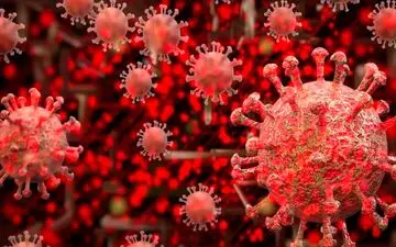  جدیدترین سویه کرونا؛ علائم «پیرولا» چیست؟