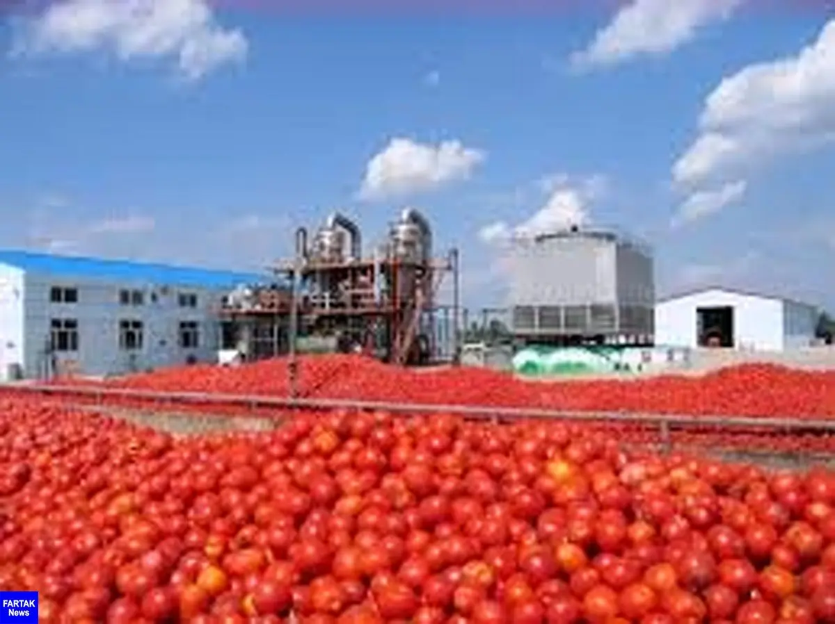  مهلت صادرات رب گوجه فرنگی تمدید شد