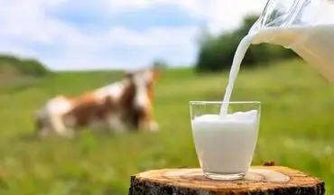 هر گروه سنی روزانه چه مقدار شیر مصرف کند؟