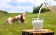 هر گروه سنی روزانه چه مقدار شیر مصرف کند؟