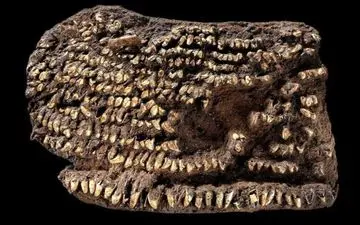 قدیمی ترین کیف پول (۴۵۰۰ سال)