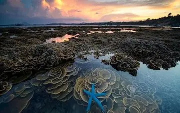  عکس منتخب نشنال جئوگرافیک | ستاره آبی