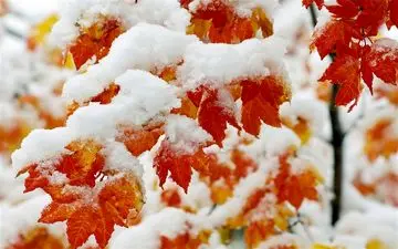 هواشناسی ایران ۱۴۰۱/۱۰/۲۱؛ بارش برف و باران در ۱۴ استان