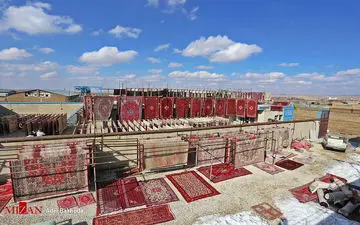 قالیشویی در همدان + تصاویر