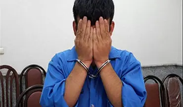 سارقانی که خود طعمه سارقی دیگر شدند + فیلم 