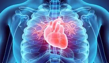 85 درصد مرگ ومیرها ناشی از وجود بیماری‌های قلبی و فشار خون است