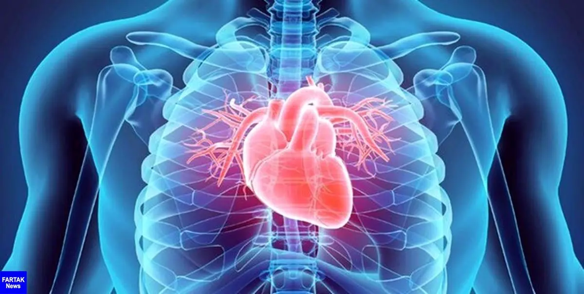 85 درصد مرگ ومیرها ناشی از وجود بیماری‌های قلبی و فشار خون است