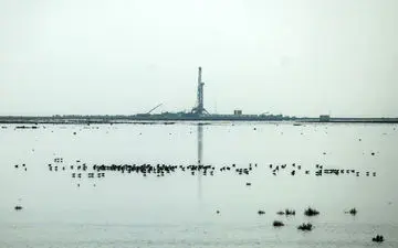 حرکت رو به جلو در احیای تالاب‌ها