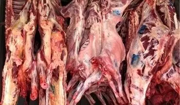 مدیرکل دامپزشکی آذربایجان شرقی: گوشت قرمز بدون مهر دامپزشکی نخرید