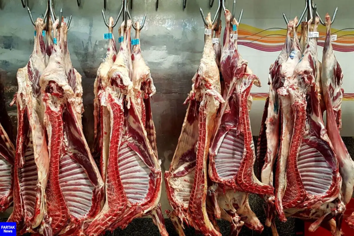  فروش "گوشت گرم گوسفندی" به قیمت ۲۲۰ هزار تومان آغاز شد 
