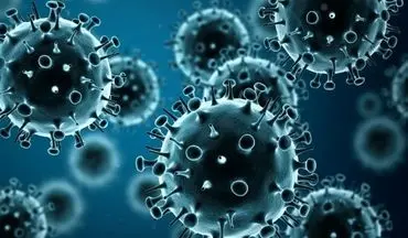 قربانیان آنفلوانزا در استان کردستان به ۹ نفر افزایش یافت