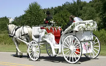 
فاجعه در عروسی/ یک شبی که هزار شب شد/ ابتلای ۴۰ نفر به کرونا + فیلم