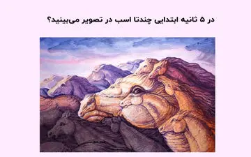 تست شخصیت اسب‌ها | تو ۵ ثانیه ابتدایی چندتا اسب دیدی؟
